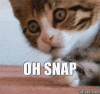 200w.gif