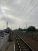 IMG_4286.jpeg
