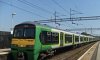IMG_1979.jpeg
