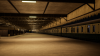TSW_Wil Ian_1557699503_00.png