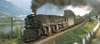 18817dd2db5314e0c5f50e9edf1eac77.jpg