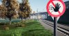 TSW3_Coppo_1696192708_00.jpg