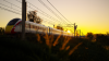 d6c39d93-f4cf-4d6a-8b4d-b1a3b6d25a31.png