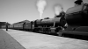 4EA6EC41-D142-4688-8E56-4D4CDA9DBC2C.png