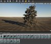 Trees in TSW4 editor.jpg