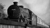 6B475C42-B1B6-4A15-B37A-7C8A862B817B.png