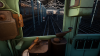 38-new2.png