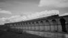 18BCD875-D897-4DC1-8EF0-AC908EE71715.png