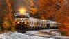 2022-10 - NS leads CSX through Fennville, Michigan.jpg