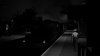 IMG_6684.jpeg
