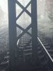 IMG_0098.jpeg