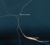 CN Oakville Subdivision 2.PNG