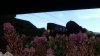upload_2023-10-17_17-26-15.jpeg