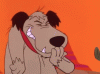 snigger-dog.gif