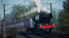 4e0d538d-5785-49c9-b7c6-5375064cf0a9.png