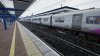 IMG_1526.jpeg