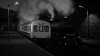 IMG_6720.jpeg