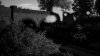 IMG_6727.jpeg