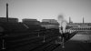 IMG_6731.jpeg