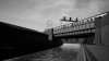 IMG_6733.jpeg