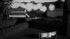 IMG_6735.jpeg