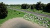 HighresScreenshot_1698868410_00.jpg