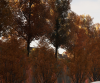 Screenshot 2023-11-16 181525.png