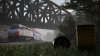 CALTRAIN ON SPG -2.JPG