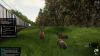 2023-11-23 05_37_17-SimRail.png
