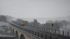 TSW_Wil Ian_1559821788_00.png