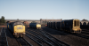 TSW_Dan_1560459511_00.png