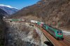 Copie de IMG_0366.JPG