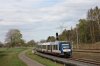 IMG_6558.jpeg