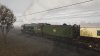 IMG_7438.jpeg