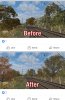 IMG_8503.jpeg