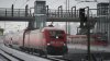Rapid transit - Talent 2.jpg