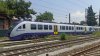 trainose o1.jpg
