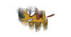 tail-dog.png