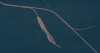 G5.png