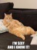 IMG_1298.jpeg
