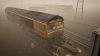 Class 66 on HSL 20.JPG