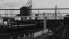 Black and White 1.jpg