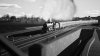IMG_6821.jpeg