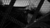 IMG_0168.jpeg