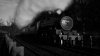 IMG_0170.jpeg