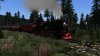 DTLBrockenbahn_01.jpg