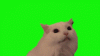 upload_2024-1-11_23-27-10.gif
