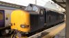 IMG_3854.jpeg