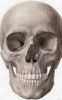 upload_2024-1-26_19-16-41.png