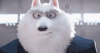 upload_2024-1-27_18-5-56.gif